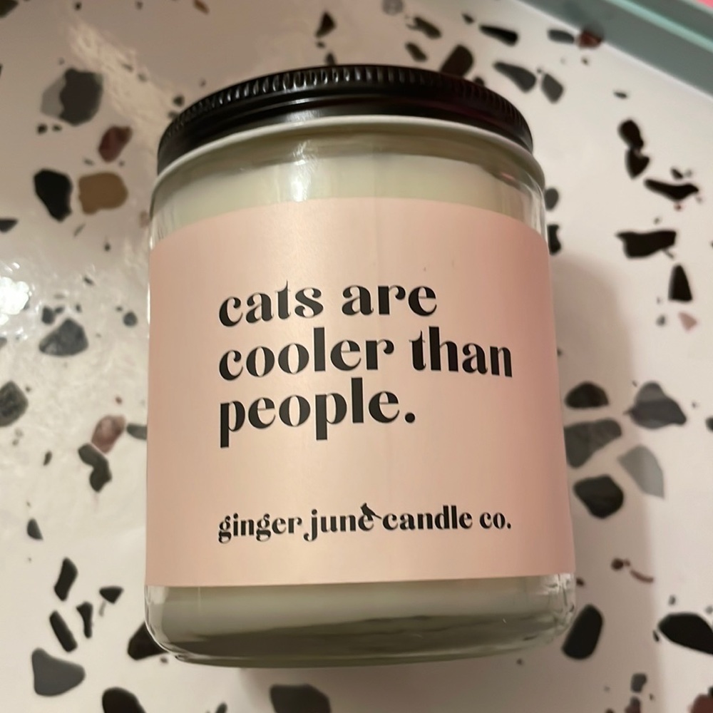 Cats are cooler than people Ginger June Candle